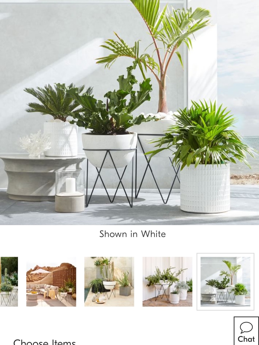 West Elm Iris Planter
